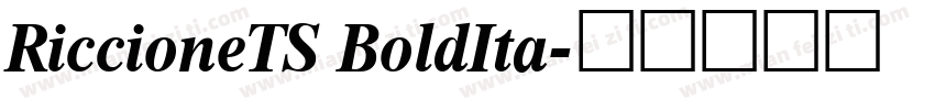 RiccioneTS BoldIta字体转换